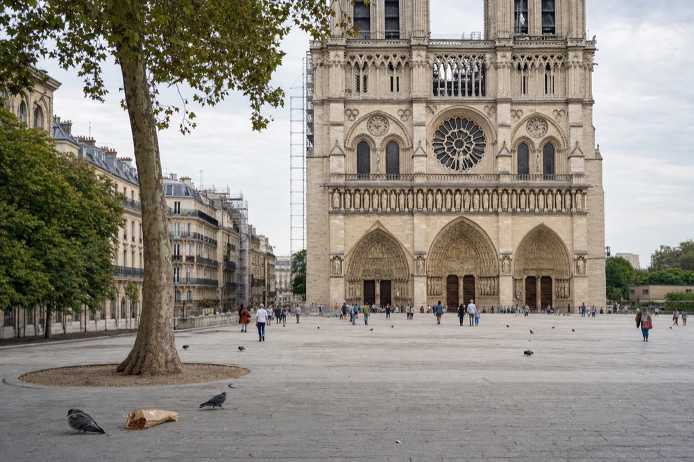 Notre-Dame Cathedral facade rises beyond a wide stone parvis with scattered visitors, pigeons, a plane tree and Parisian buildings.