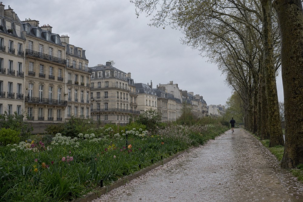 Wet gravel path lined with spring flower beds and plane trees, with Paris apartment buildings and a distant jogger under grey sky.