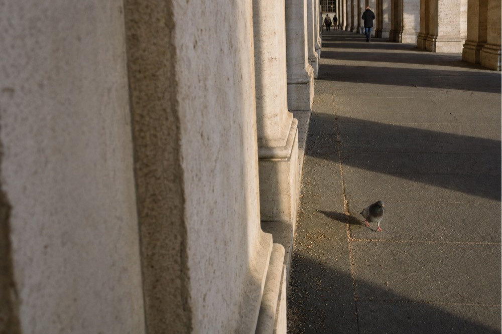 Pale stone colonnade with long morning shadows, a pigeon on granite paving, and distant people walking under the arcade.