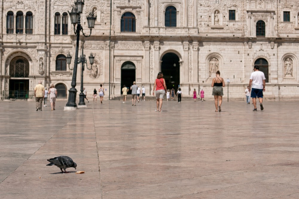 A pigeon pecks at food on a broad stone courtyard as distant people walk toward an ornate Parisian facade.